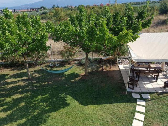 Plaka Luxury Villa Litóchoron Eksteriør billede