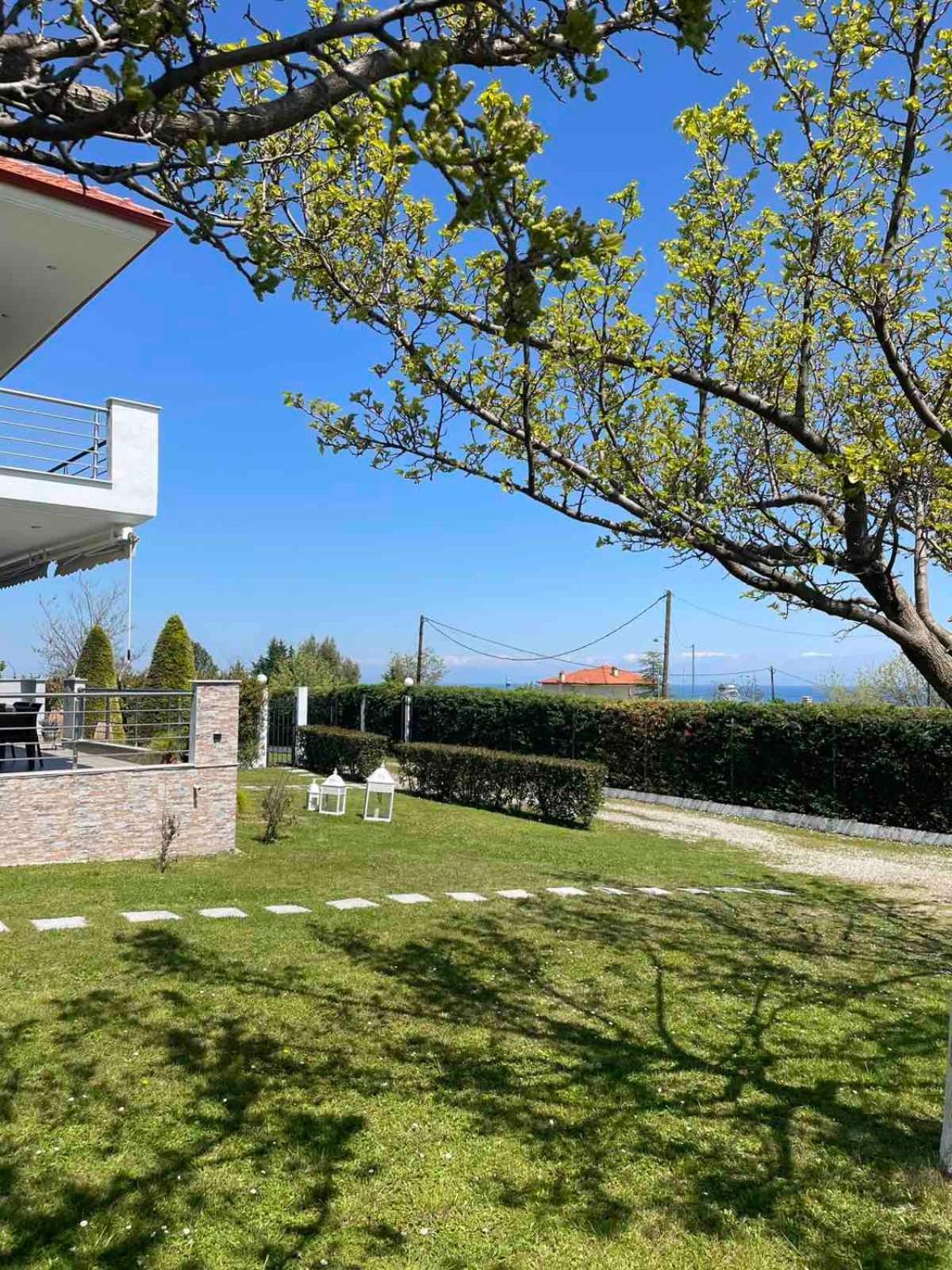 Plaka Luxury Villa Litóchoron Eksteriør billede
