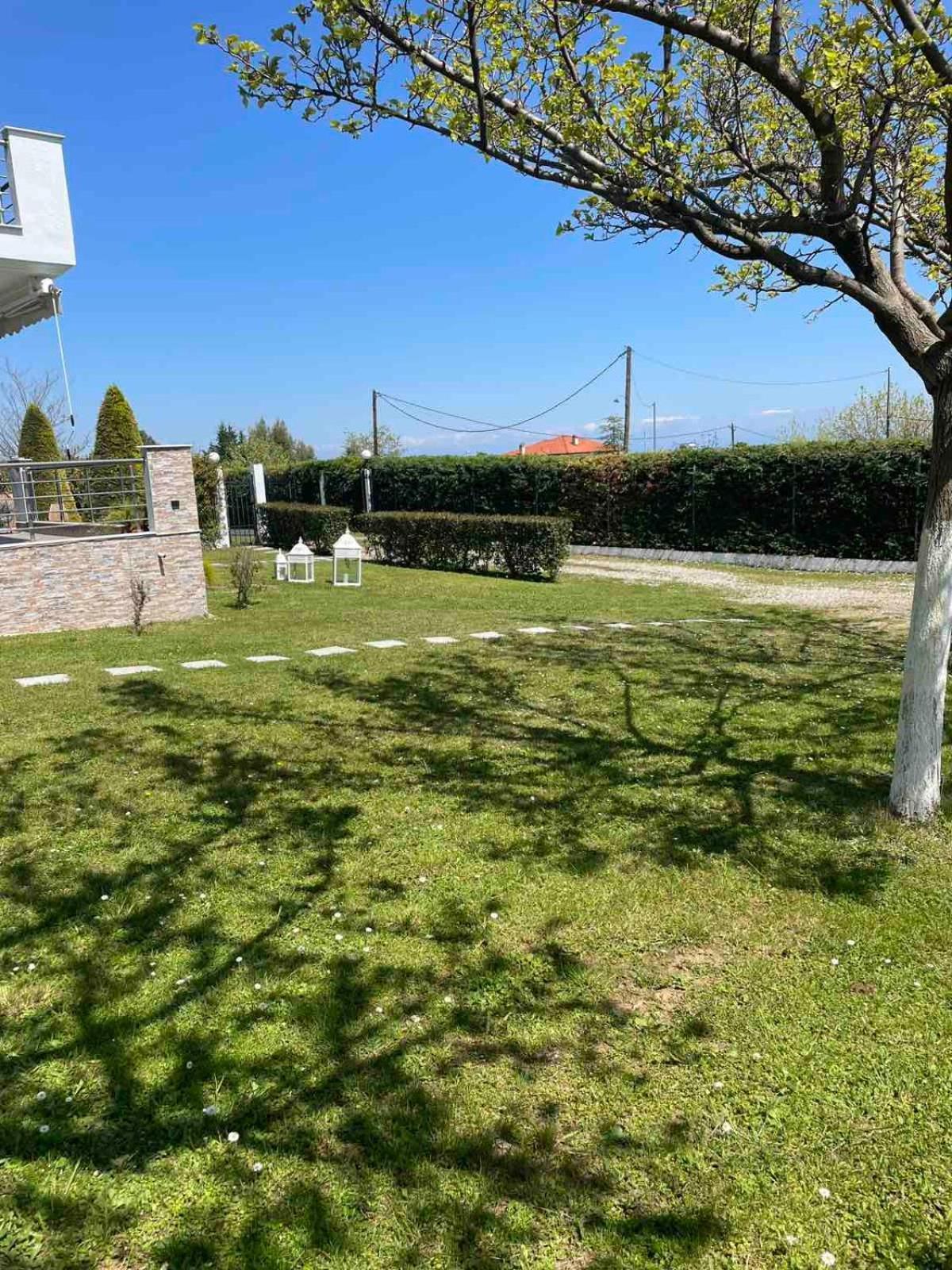 Plaka Luxury Villa Litóchoron Eksteriør billede