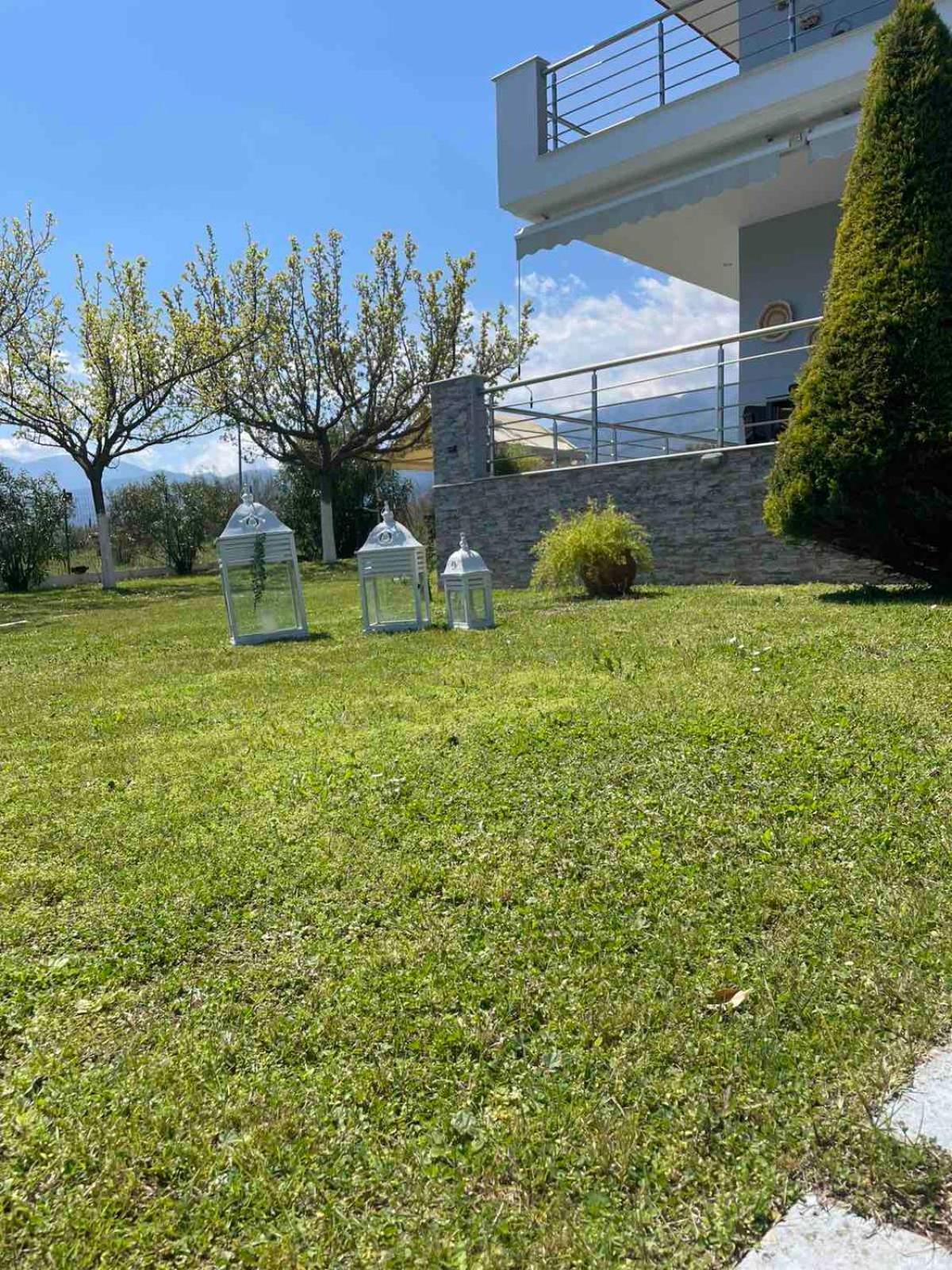 Plaka Luxury Villa Litóchoron Eksteriør billede