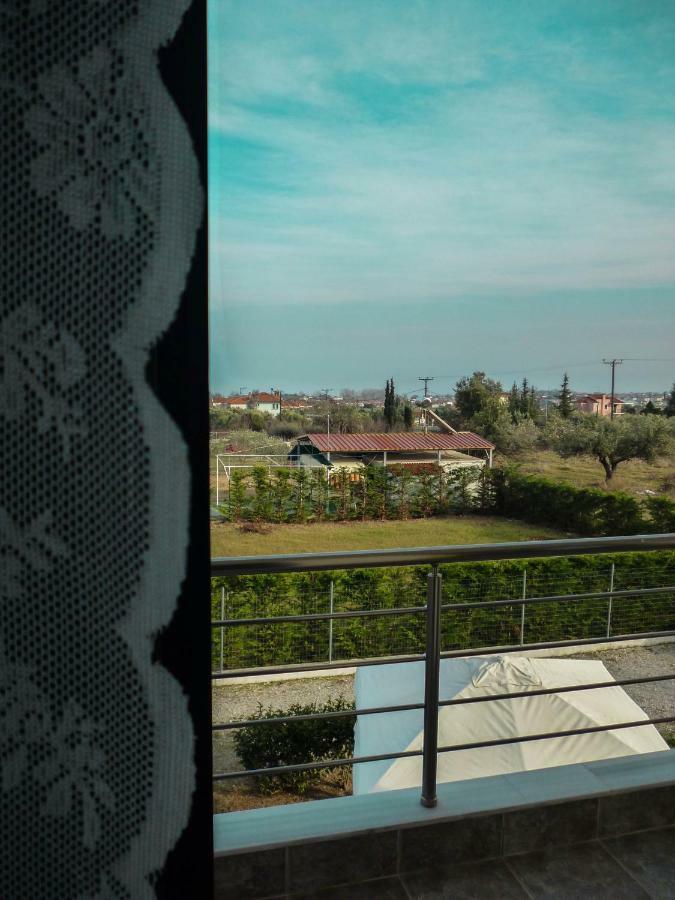 Plaka Luxury Villa Litóchoron Eksteriør billede